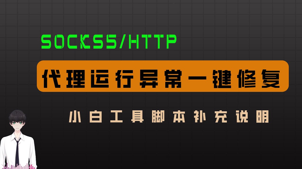 小白Socks5/HTTP代理工具「补充说明」